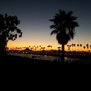 Meet your Posher, Tom